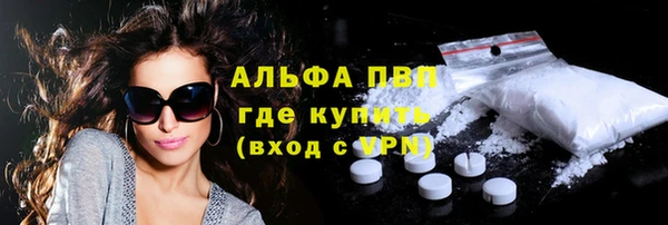 молекула духа Богородицк