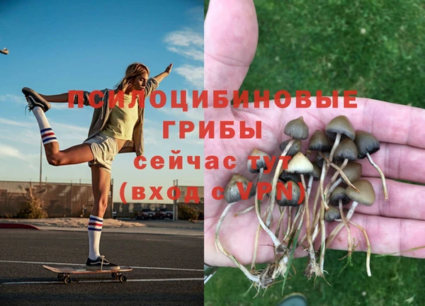 кристаллы Богданович