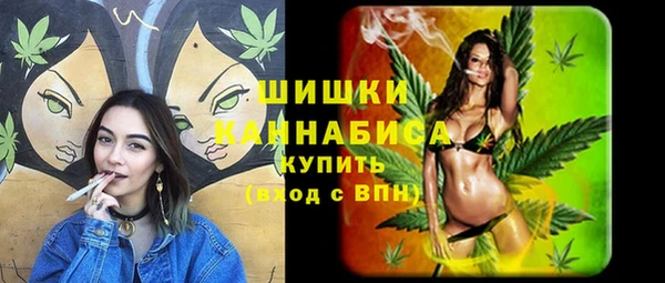 молекула духа Богородицк