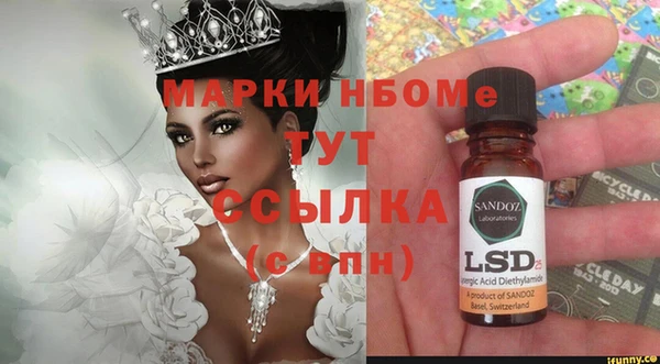 молекула духа Богородицк