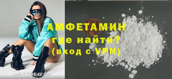 молекула духа Богородицк