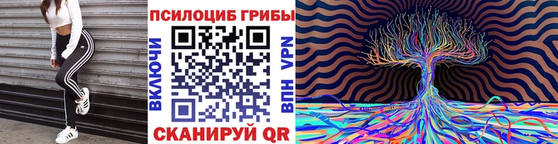МЕГА ССЫЛКА  Железногорск-Илимский  Галлюциногенные грибы прущие грибы 